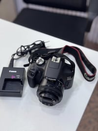 كانون 2000D • عدسة ٥٠مم F1.8 • نظيف ٩٥٪