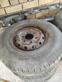 تاير 14 • ويل منغولي • لايت