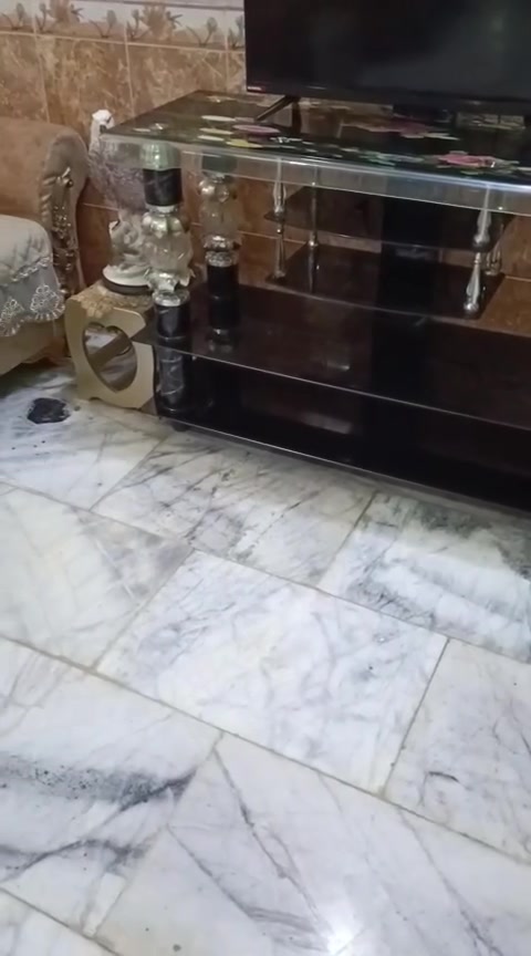 قنفات 10قطع زلغ مابيهن جدد ويا برداتت وطاولات ومسهريات وميز بلازمه وبلازمه ققل ب 900.....بيع مستعجل .... ***********
