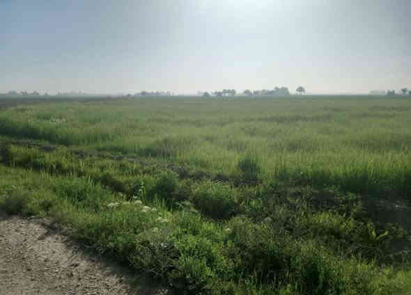 يوجد دوانم طابو زراعي بأسعار مناسبه في منطقة الشيخ عامر  على طابو الفلوجه 

الاستفسار اكثر اتصل على الرقم ‭***********
