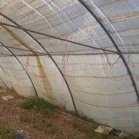 يوجد لدينا بيوت عراقيات للبيع الاستفسار من الرقم 07826585041