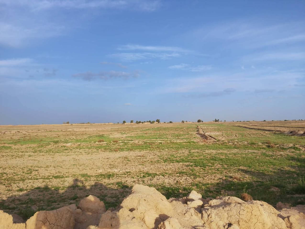 ارض زراعيه للبيع قرب الساده الاخوان
الاستفسار اتصال على رقم ***********

