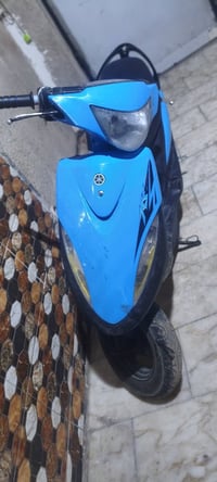 هماكس • عدله • بوشه ٥٥
