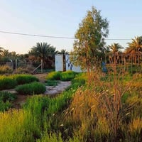 باب طويريج • ١٢٠٠م • طابو ٢٥