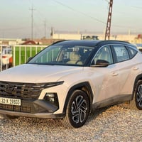 توكسان • ٢٠٢٥ • الزبيدية