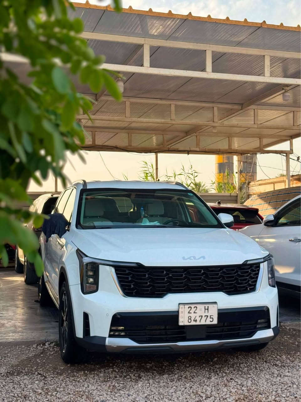 سارنتو 24 خليجي مكفوله موصفات  بصمه كامره خلفيه حساسات امامي خلفي رادار امامي جنطه كهرباء تشغيل عن بعد كير ماوس سايد بريك بصمه كشنات كهرباء 7 راكب 6 سلندر جديده ماشيه 90 حقيقي تخم تاير اصلي كومهو كوري انتاج 2025 رقم اربيل مداور ثاني يوم حداديه وهاي الامور كله اصلي جديد دسكات جدد سياره ما عايزه اي شي سعره 268 رقم الهاتف *********** مكاني بابل المصيب, بابل
