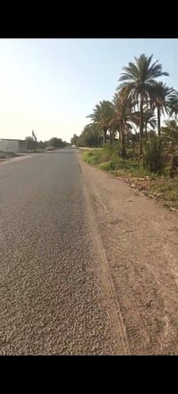 أبي غرق • أقل من دونم • أكثر من ٣٥ نخلة