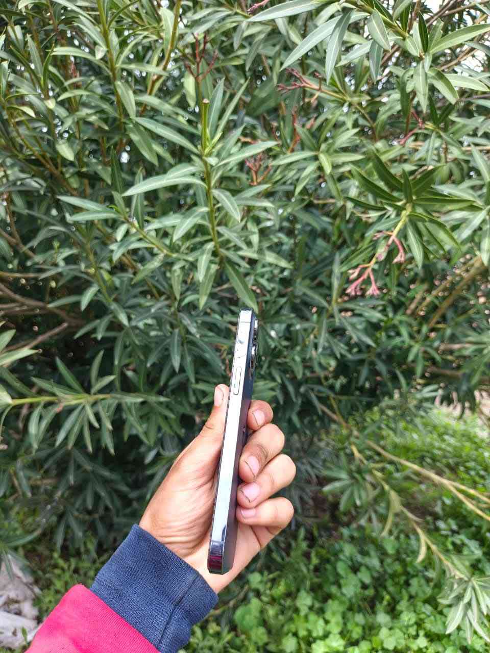 سلام عليكم ١٤ برو ماكس جهاز شرط النضافه شرق اوسط غراض كامله بطاريه ٨٦ بلاد بلاد جهاز خير من الله مال جناي للبيع او مراوسه ويه الترا سعر ٩٣٠


**إذا كنت صاحب هذا الإعلان وتريد حذفه لأي سبب، رجاءا أرسل رسالة إلى الدعم الفني**