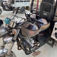 ستوته • فحل • مديل ٢٠٢٢