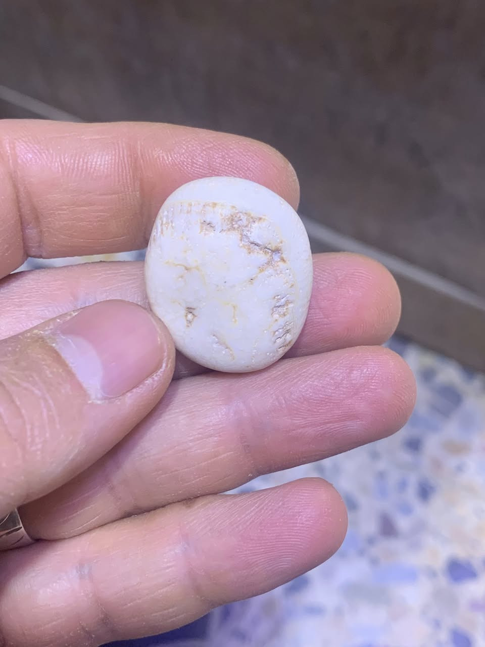 عطف قديم حجره كامله ماملعوب بيها


**إذا كنت صاحب هذا الإعلان وتريد حذفه لأي سبب، رجاءا أرسل رسالة إلى الدعم الفني**