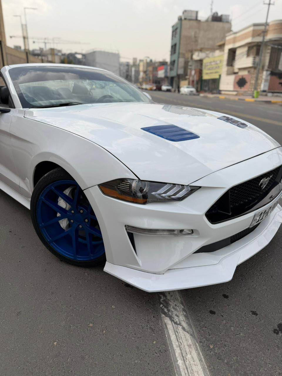 موستنك ٢٠١٩ GT فول مواصفات ١٠ نمر 
السياره جاهزه ع اخر حبايه وجديده حيل ومصروف عليه هواي مابيه نقص برغي صبغ ٥ قطع ابيع حزام بدون دواخل وشواصي رقم بغداد دولي هزه جديده باسمي مداور ثاني يوم ماشيه ٤٠ مايل حقيقي سياره كلش نضيفه ومتعوب عليه لحد يقارنه بالمهجومات الشراي يتصل مكاني كربلاء حي الحسين 
*********** كربلاء, العراق
