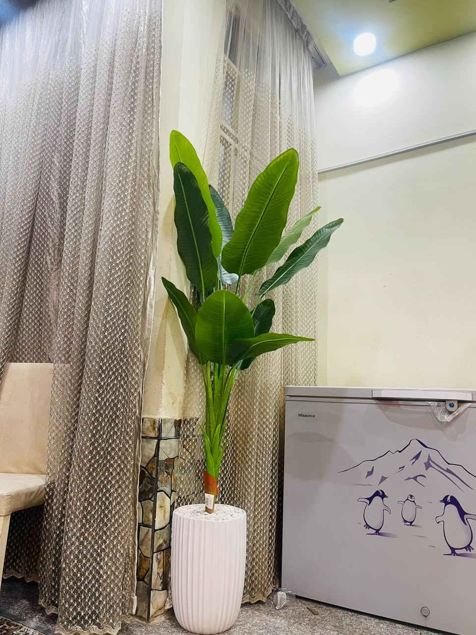 اشجار صناعية  كوالتي ممتاز سنادين زجاج عليهم خصم قطع اخيرة اي اختلاف يتم الرفض بدون دفع توصيل ❤️🌴


**إذا كنت صاحب هذا الإعلان وتريد حذفه لأي سبب، رجاءا أرسل رسالة إلى الدعم الفني**