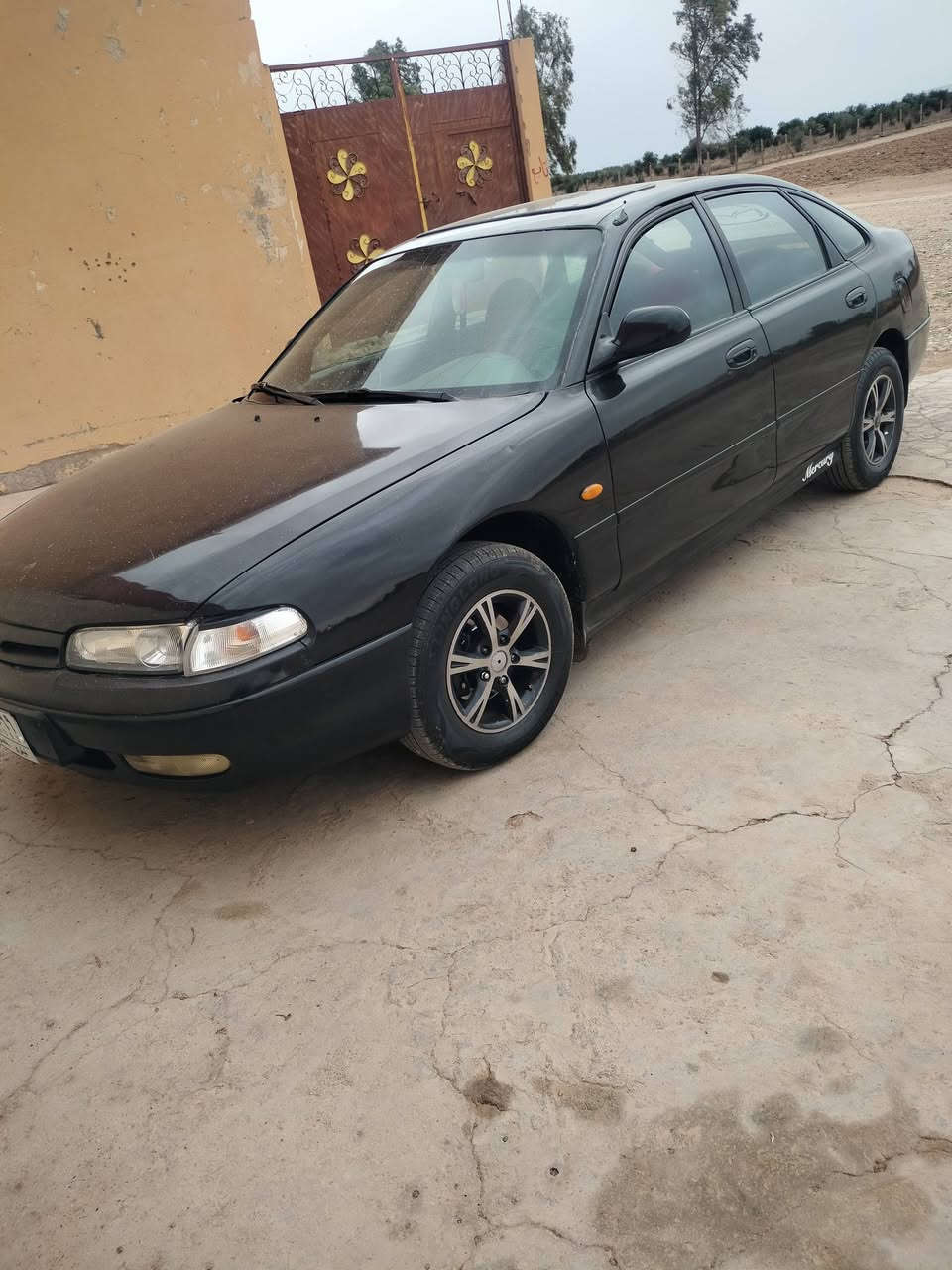 السلام عليكم مازده للبيع 226 فاصوليه موديل 94 محرك 4 كير عادي تبريد سياره صبخ حزام جماليه فقط بيها راس جاملخ طخه اربع تايات جديد طخم جديد اندبريك شغال نخل جديد شرط ويرمنيه كله بشرط كلوب بل صندوق شغاله سنويه خضره رقم الماني تحويل من شرعي مكان موصل حي تحرير (42) مجال رقم الهاتف ***********
