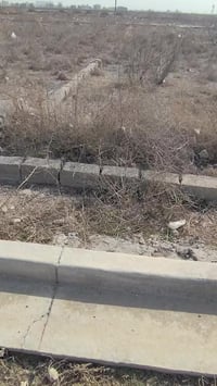 توفر يمنا قطع اراضي زراعي في منطقة الغزالية مجاور اراضي النزاهة متوفر ...