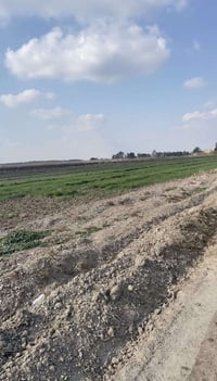 عندي دوانم طابو زراعي سند 25 فتح بيان وتحويل بالطابو تكدر تسويها مزرعه...