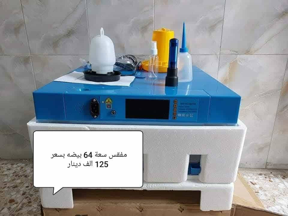 ابدأ مشروعك بخطوة واحدة من بيتك لتصنع مستقبلك💁🏻‍♂️  بـحضانة البيض الذكية 🐣 تقدر تبدأ الأن وتحول حلمك إلى حقيقة ودخل ثابت ومربح💰💸�
مشروع مضمون ، تشغيل سهل ، ونتائج مبهرة تصلح لجميع انواع بيوض الدواجن
🦆  🐥  🐓  🦃  🦚  🦢  🦜
نسبه تفقيسها  تتخطى 98 % 🤩🎀🎁
# لأول مرة فقاستنا تعمل الكترونياً من  حيث تقليب البيض وتنظيم درجة حرارة ورطوبة المفقس كونها مزودة بقناني ماء من دون اي تدخل انت ماعليك إلا إدخال البيض 
عند إنقطاع الكهرباء تتحول اوتوماتيكيا الى التشغيل بالبطارية بمجرد ربط قوابس البطارية 
👇 تخفيض بارخص الاسعار👇🏻                               الأحجام المتوفرة واسعارها 💰 
1️⃣ مفقس سعة 12🐣 بسعر 70 الف
2️⃣ مفقس سعة 16🐥 بسعر 75 الف
3️⃣ مفقس سعة 18🐥 بسعر 80 الف
4️⃣ مفقس سعة 32🐥 بسعر 90 الف
5️⃣ مفقس سعة 36🐥 بسعر 95 الف
6️⃣ مفقس سعة 48🐥 بسعر 105الف
7️⃣ مفقس سعة 52🐥 بسعر 105الف
8️⃣ مفقس سعة 64🐥 بسعر 115الف
9️⃣ مفقس سعة 70🐥بسعر 120 ألف                        هدية:
🚚 توصيل مجاني لجميع المحافظات 
🐥 🐥 🐥 
🌀 مميزات الحضانات:🕊️
✔ شاشة رقمية للحرارة والرطوبة
✔ تقليب أوتوماتيكي كل ساعتين
✔ إنذار عند أي خلل
✔ استهلاك كهرباء منخفض جداً
🛠️ دعم فني ومتابعة مستمرة:
إذا واجهتك أي مشكلة أثناء استخدام الحضانة، نحن جاهزون لمساعدتك فوراً حال الاتصال بنا
للحجز و الاستفسار
هاتف 📞    ***********
📲 واتساب ***********
