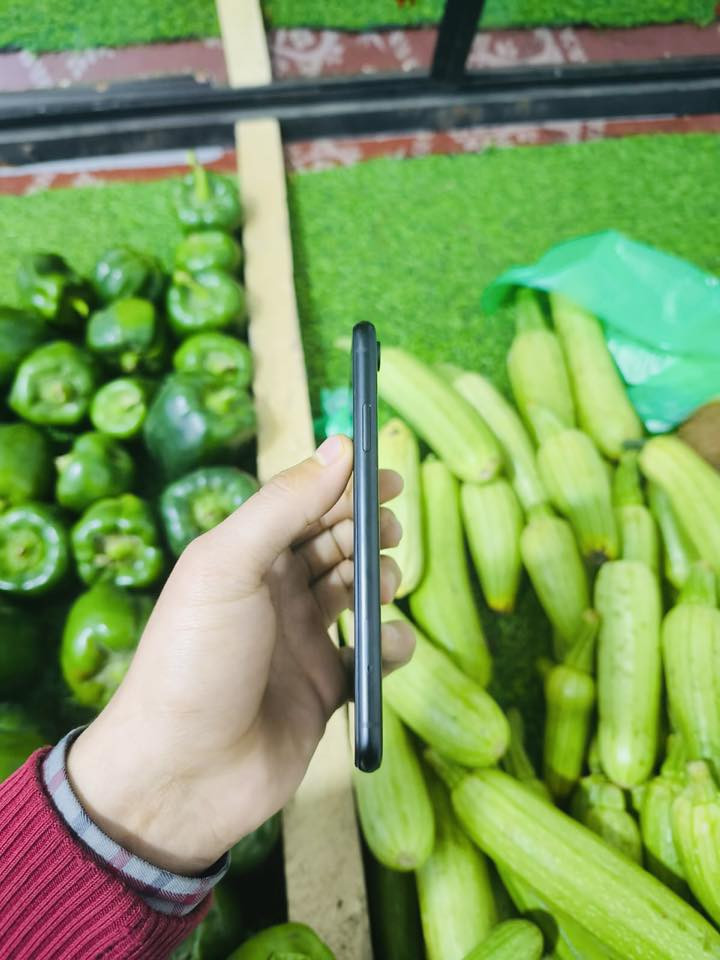 آيفون اكس آر ⚜️
ذاكرة/64/بطارية/78 /فيس إيدي شغال /كامران دمعة طبع/نموذج/M/امريكي 🇺🇸/مستبدل باتري من جهاز ثاني/جهاز نورمان مكفول كله/ شراي تفضل خاص 🚸


**إذا كنت صاحب هذا الإعلان وتريد حذفه لأي سبب، رجاءا أرسل رسالة إلى الدعم الفني**