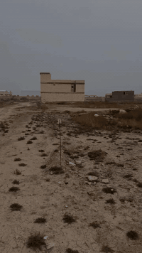 👋بسعر مناسب جدآ للستفسار مراسله الصفحه أو الاتصال 
 📲***********
📞***********
ابو ملاك 💥
