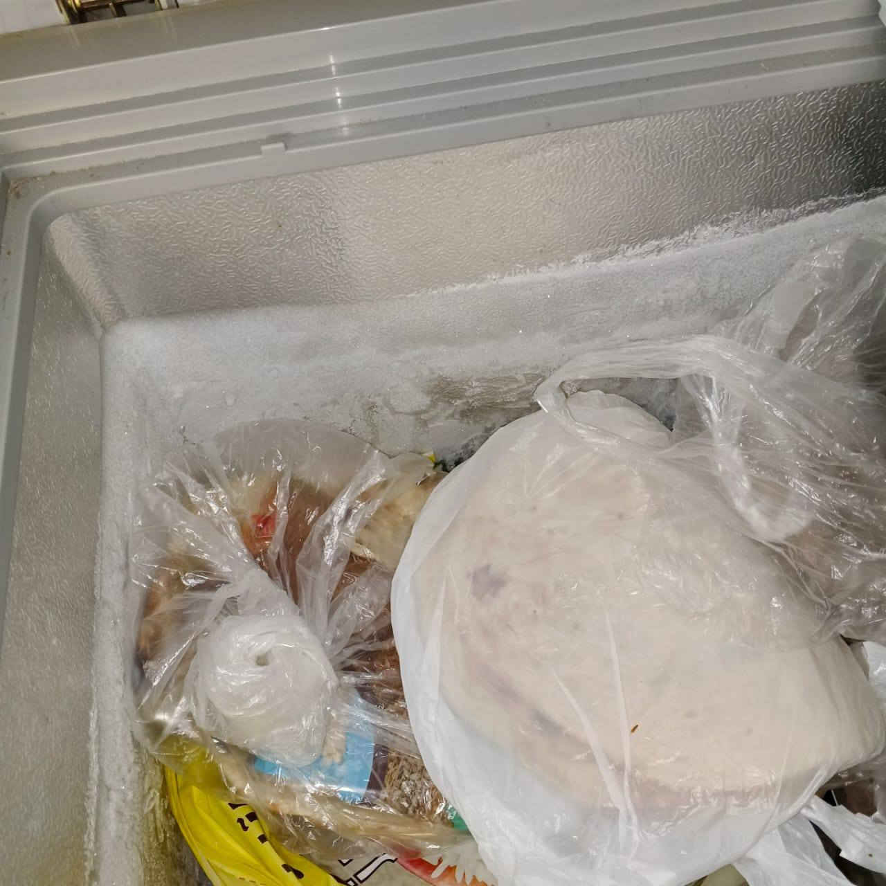 السلام عليكم مجمده للبيع نظافه فول تجميد على الفحص مداخله تصليح السعر 175 وبيه مجال بسيط  العنوان بابل للتواصل خاص ***********
