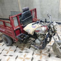 ستوته • شغاله • فلوجه