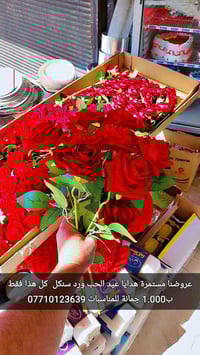 ورد سنكل • جملة درزن • أنانا موول المقدادية