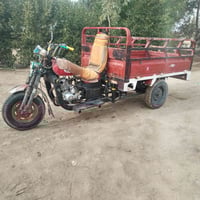 ستوته دايوان • بدون رقم • حل الشوملي