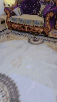 السلام عليكم
تخم نظيف  تسگام للبيع السعر 350 وبي مجال 
للتواصل. 
***********7
