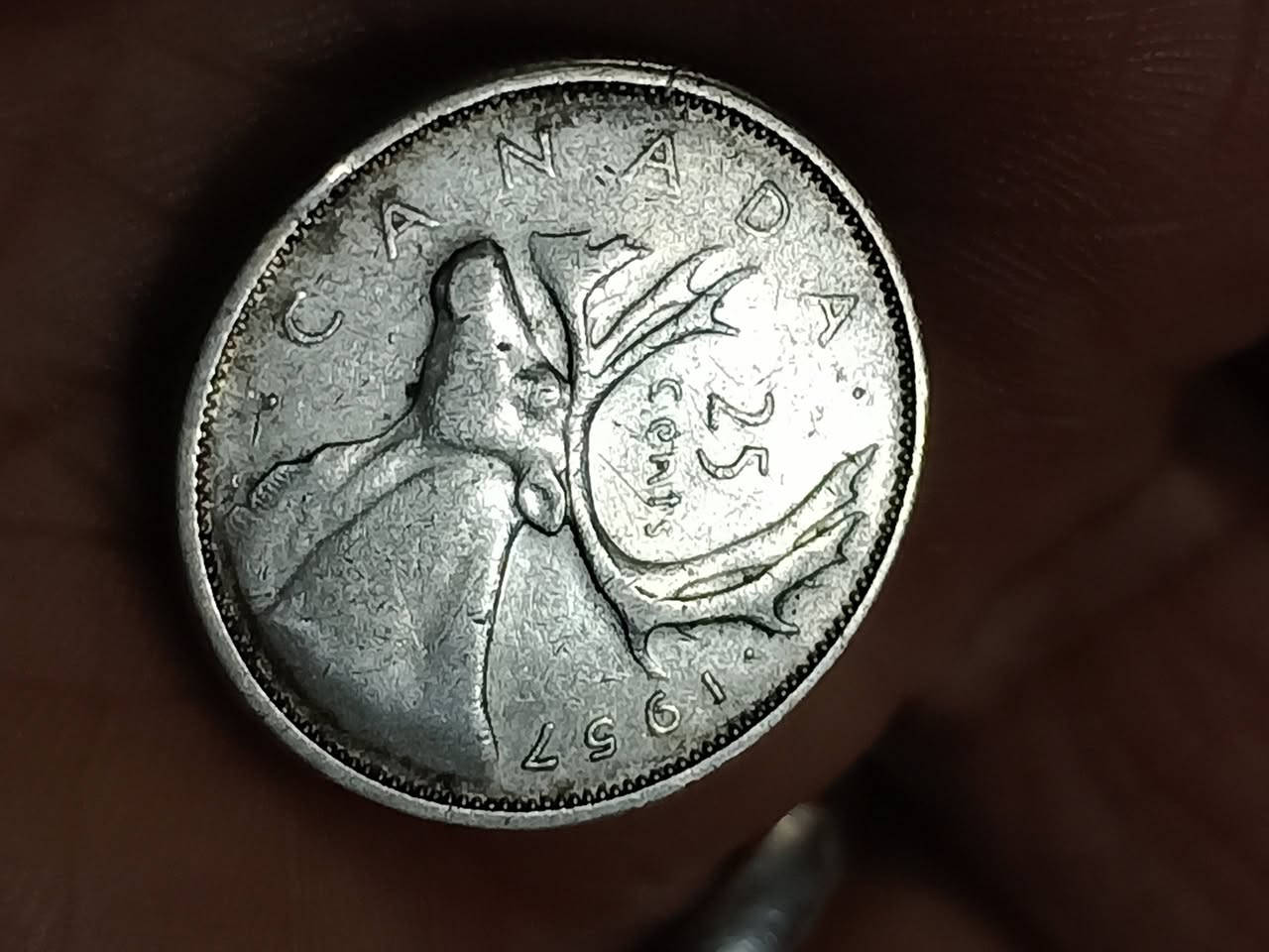 عملات فضة عالية النظافة شبه انسل باسعار مناسبة للجملة والمفرد للحجز راسل على الخاص


**إذا كنت صاحب هذا الإعلان وتريد حذفه لأي سبب، رجاءا أرسل رسالة إلى الدعم الفني**