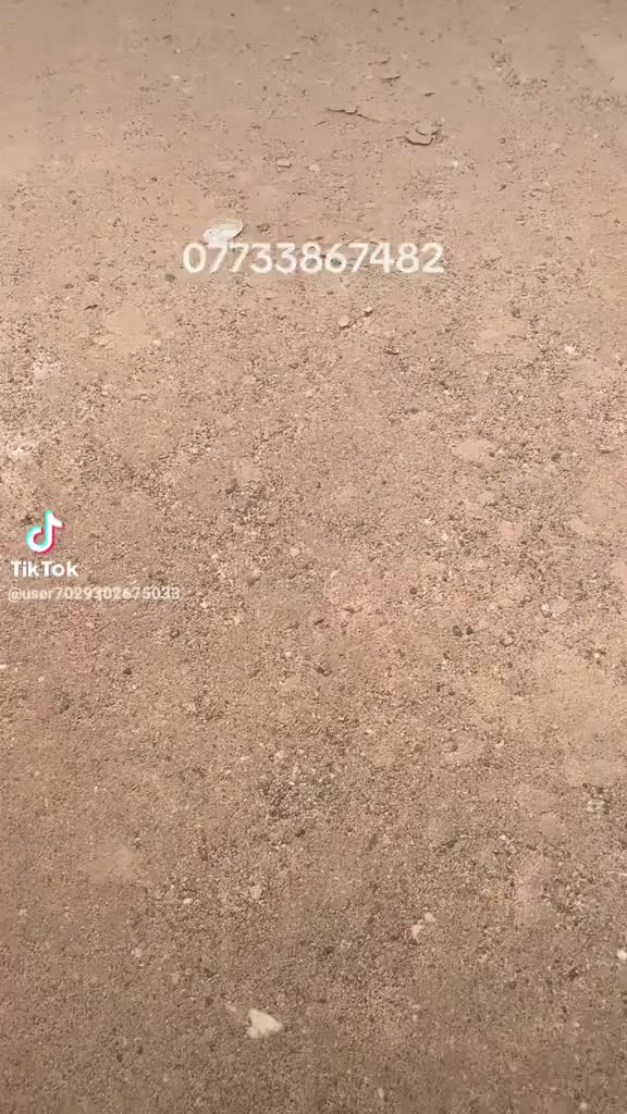 على بركه الله افتتاح ارض جديده في شط العرب الفيروزيه شارع 20 طابو ملك صرف زراعي بها كافه المساحات من 100 متر الى 200 متر.***********
