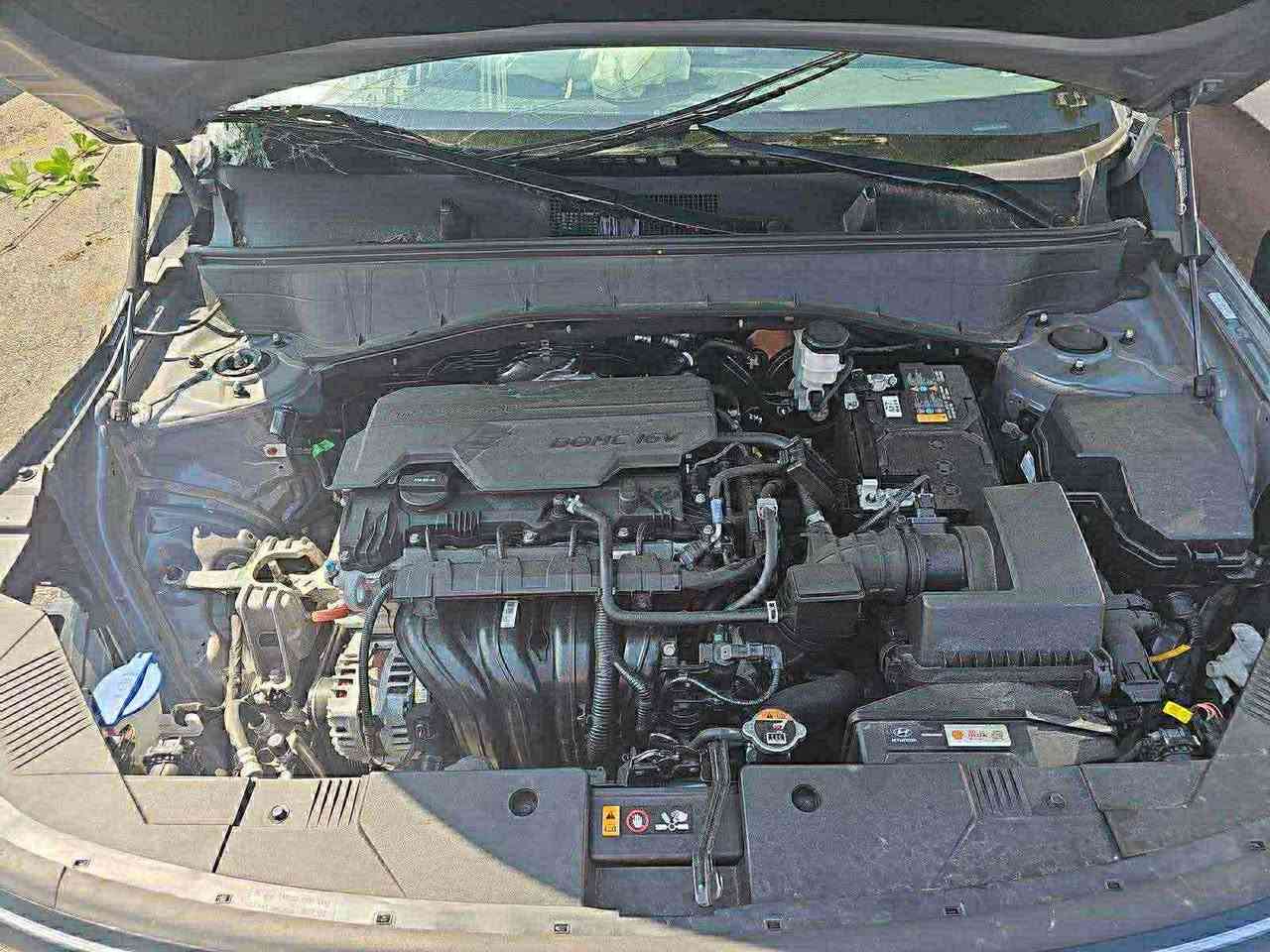 ✨ كونا 2024 لون إسمنتي ملكي  بدون رقم منفيس بأسمي✨🚗

للبيع كونا وارد موديل 2024لون إسمنتي ، ناعمة جديده بوضع الشركة ماشيه 8ميل فقط 

الحادث موضح بالصور 

⚡ ماشيه 8  ميل بس! يعني بعدها ما مشت حرفياً.

🔹 المواصفات:

 • شاشــة جبيرة متّصلة

 • أنظمة قيادة متكاملة

 • تحكمات ستيرن كاملة

 • رادار أمامي

 • حساسات أمامية وخلفية

 • تدفئة كشنات + تدفئة ستيرن

 • نظام توقف ذاتي

 • تحديد مسار

 • السيارة بوضع الشركة 100%

💰 معروضه بسعر مناسب 

و بي مجال بسيط للجادّين فقط

📞 للتواصل: …

***********☎️

***********☎️ بغداد, العراق
