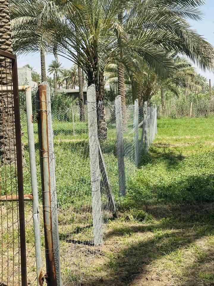 #شركة_النجاح_للبي_ارسي_BRC
بسم الله الرحمن الرحيم
  

تخفيضات في تجهيز الأسيجه مع استشارات هندسية مجانية نعمل في جميع المحافظات وعنوانك قريب علينا

#علماً أن الأسعار تبدأ من 4 الف الى 12 الف المتر كامل كرستة وعمل حسب المواصفات المطلوبة من الزبون
 ￼⁨0770 242 5424⁩
🔨 نقدم مجموعة واسعة من
 الأسيجة والملاعب الخماسية، مع جميع الملحقات من أعمدة كونكريت وحديدية، ونسج السيم بكافة الأحجام والقياسات. نوفر أيضًا مجموعة متنوعة من الچوادر بألوان مختلفة.

🍀 بالإضافة إلى ذلك، نقدم أسوار العشب الأخضر المميزة لمظهر طبيعي وأنيق
💰 أسعارنا تنافسية، مع أسعار خاصة للأسوار العشبية.

☘ بالإضافة إلى ذلك، نقدم عمل وتجهيز كافة أعمدة الكهرباء بجميع القياسات وانواعها

مستعدون لتجهيز دوائر الدول والحدائق العامة والخاصة بكل مايلزم من المواد 💐

وكذالك بيع جميع انواع بواري القناطر بجميع القياسات والأحجام 

👷‍♂ فريقنا المتخصص والمتمرس، بخبرته الطويلة في هذا المجال، يضمن لكم خدمة عالية الجودة والكفاءة. 

🚀 نعمل في جميع أنحاء العراق لنقدم لكم أفضل الخدمات بأسرع وقت.

📞 للطلبات والاستفسارات، يرجى الاتصال على الأرقام التاليةاومراسلة على الواتساب :                             
( واتساب )  
- ￼⁨0770 242 5424⁩ واتساب
