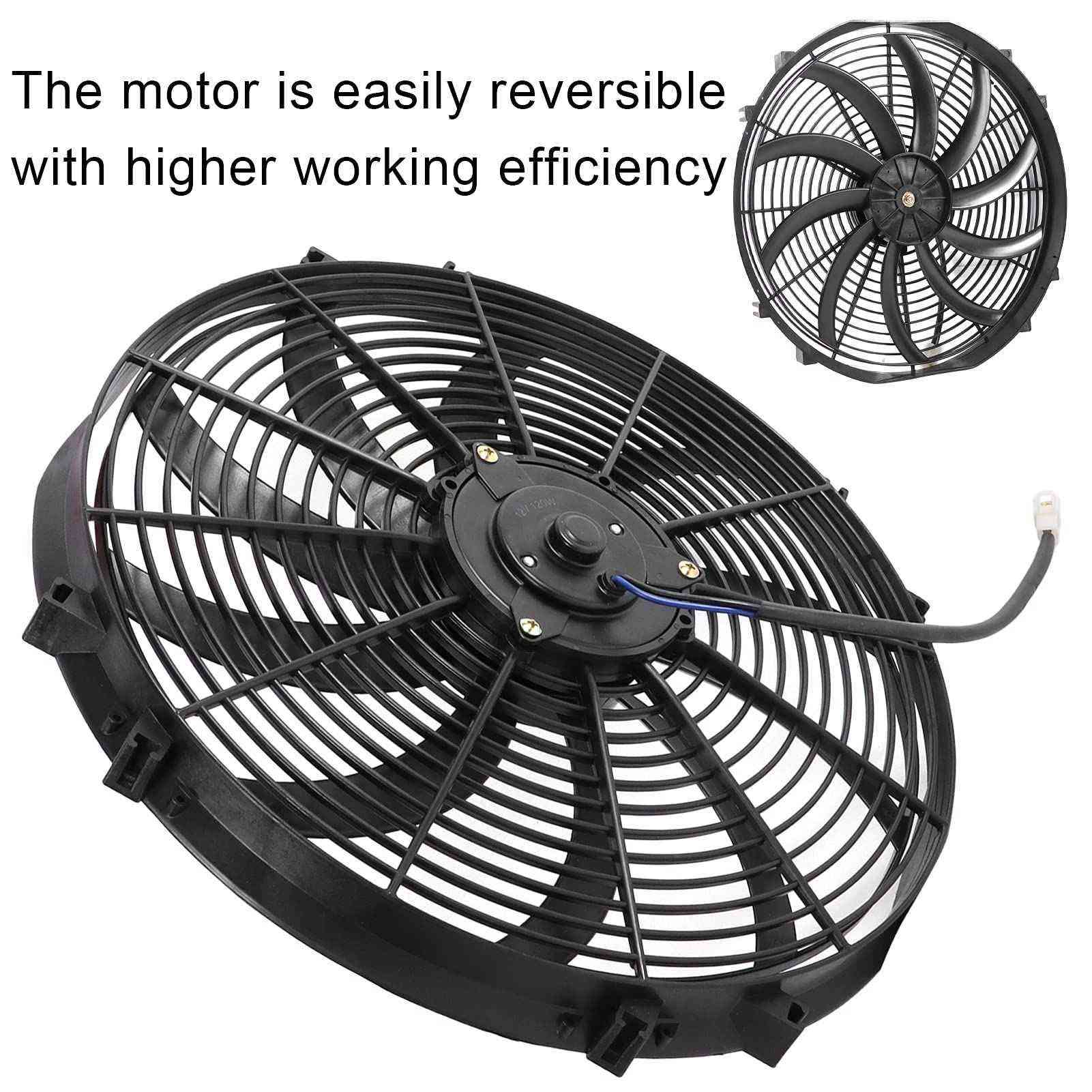 *********** دهوك, العراق
