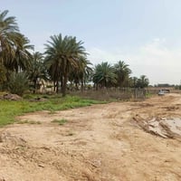 دونم للبيع سلام عليكم   دونم للبيع في السريدات القديمه بانهايه المربع ...