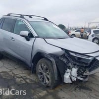 راف فور • وارد أمريكي • بدون صبغ