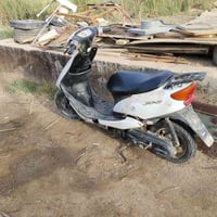 جوغ • شغاله • وايرات مكطعه