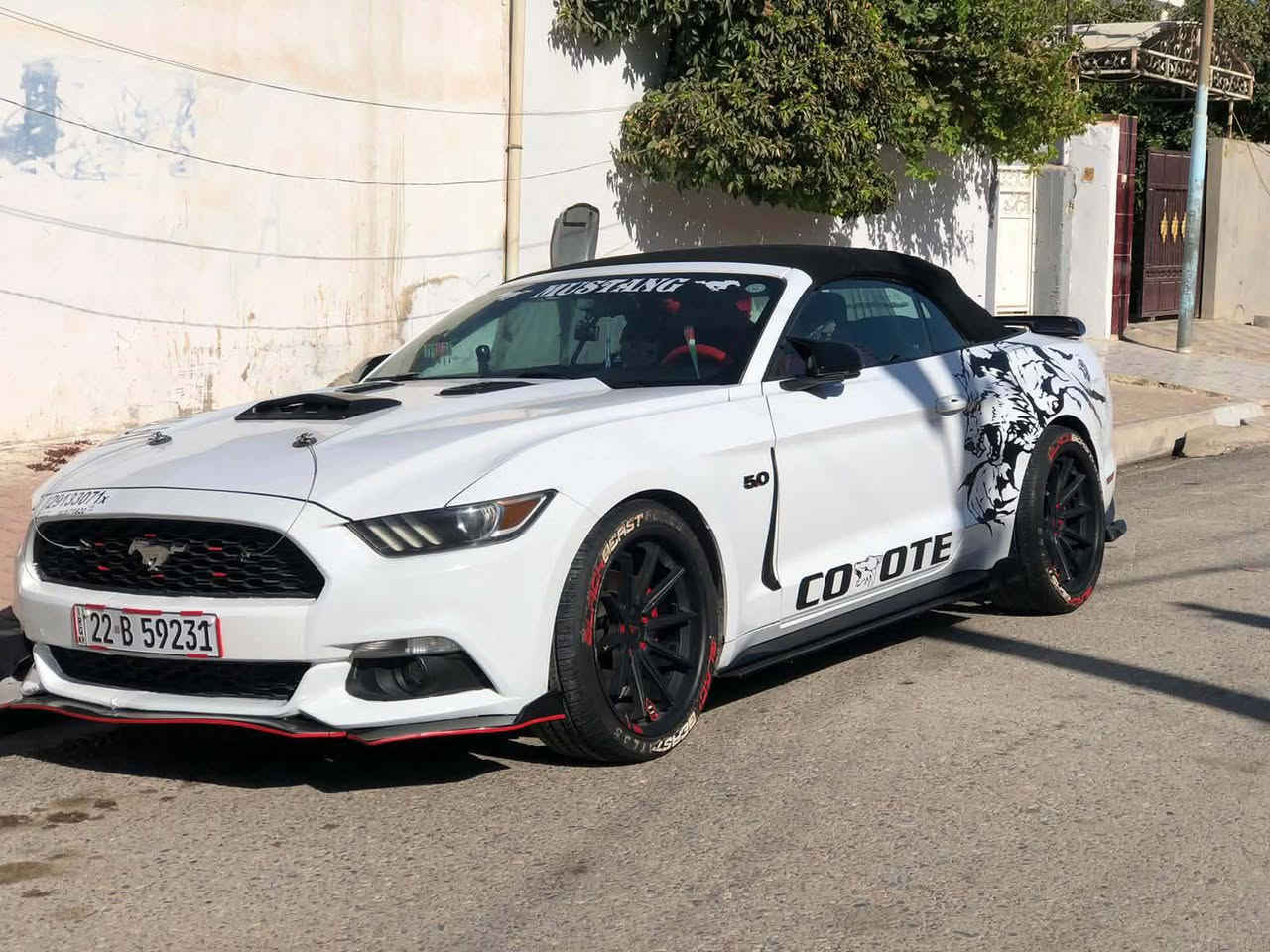 امراوس 👉👉👉موستنك  17اليكو بوست
شرط من كلشي تحويل غرمات محرك حداد تايراات فول الفول وبسمي السيارة 
*********** 
مكان السيارة كركوك
