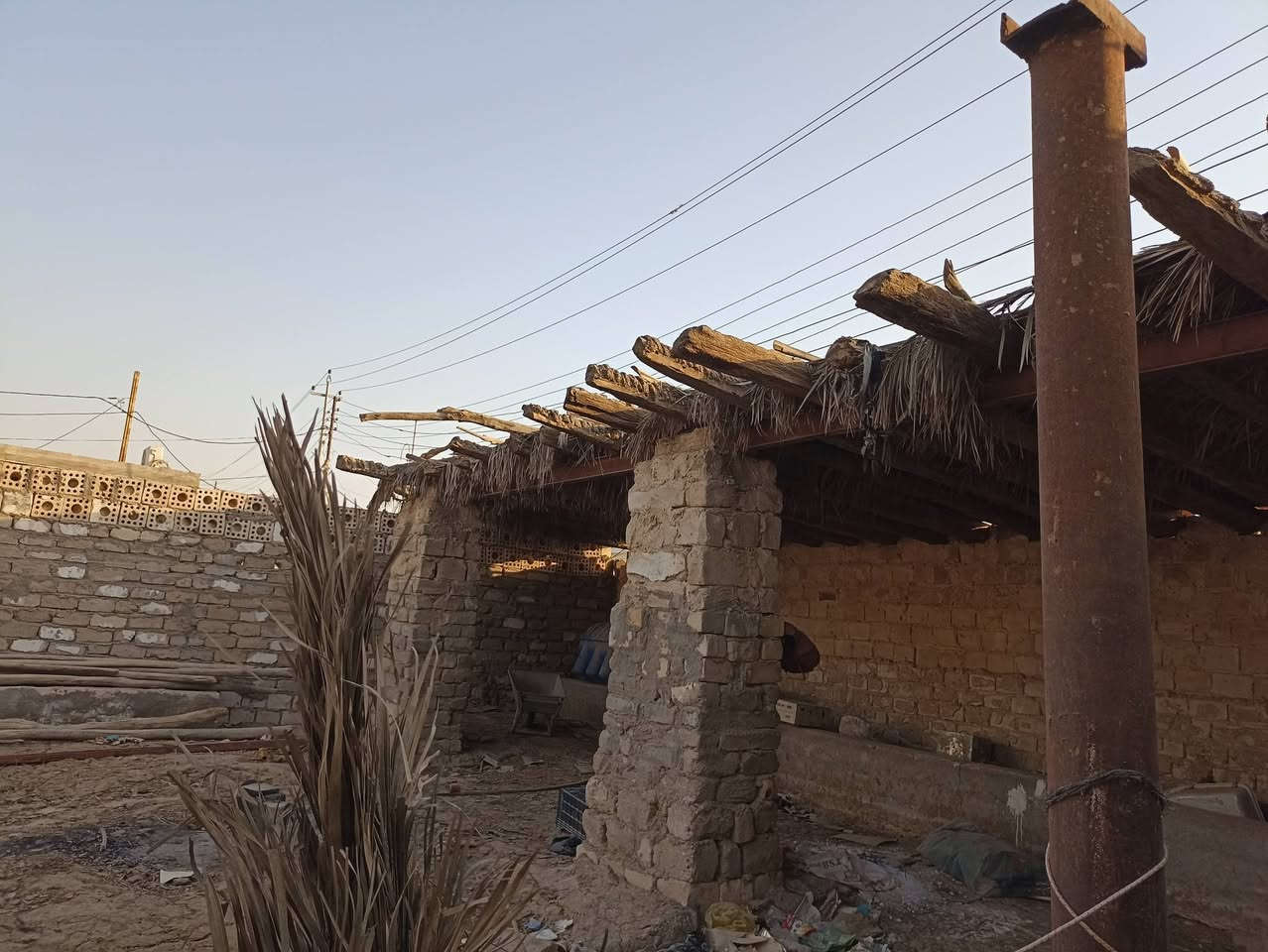 جذوع وخشب وحديد وفنرات للبيع كوفة حي ميسان 
***********
