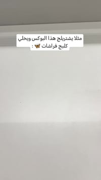 وردة مفردة • هدايا عيد الحب • توصيل بغداد