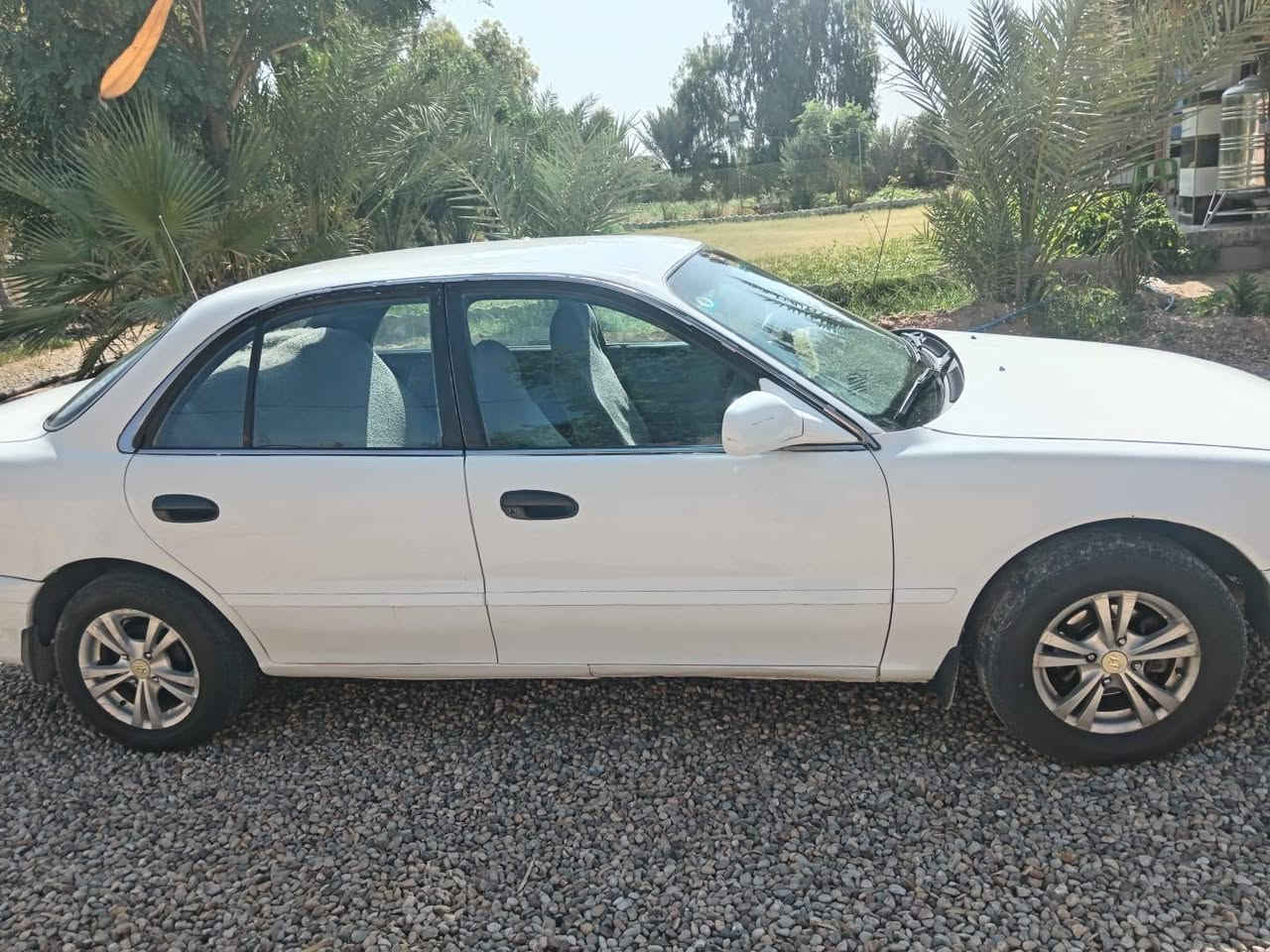 السلام عليكم ورحمة الله وبركاته
سوناتا ٩٤رقم بغداد مشروع وطني سنويه لل٣١جاهزه من كل شي مصبوغه عام جماليه كير اوتوماتيك. مكينه كير صدر تبريد كله مكفول سعرهه ٤٨ بيهه مجال قليل مكانهه ديالى المقداديه موبايل ***********
