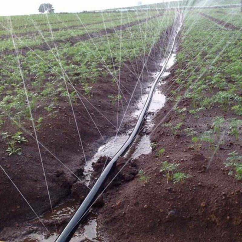 قطرة واحدة.. تصنع الفرق!
لا تجعل سقي الحديقة عبئاً عليك. متخصصون في تحويل المساحات القاحلة إلى مساحات خضراء نابضة بالحياة عبر منظومات سقي بالتنقيط متطورة.
​تصميم مزارع متكاملة.
​تنسيق حدائق منزلية.
​صيانة وتركيب شبكات ري حديثة.
اجعل نباتاتك تشكرك، وابدأ بالتأسيس الصحيح اليوم!
(تواصل)
***********
