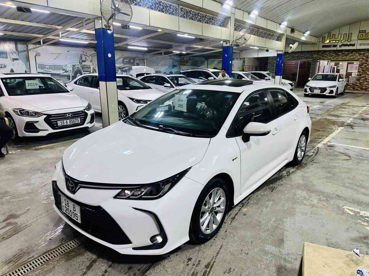 كورلا 2025 حالت الوكاله
👨‍❤️‍👨👨‍❤️‍👨 معرض قلعة اربيل لتجارة السياراة الحديثه 👨‍❤️‍👨👨‍❤️‍👨

                    مكان المعرض  بابل المعارض

زورو رابط المعرض لتحصل ع كل ماهوه جديد

https://www.tiktok.com/@eyhib2?_t=ZS-8zp0gN6qcw3&_r=1

        

يتوفر.  كورلا   2025     هايبرد  السعر 155$

فووول. مرقم بغداد        

فتحه.   سلايد روف 

محرك 1800 المرغوب 

بصمه دخول ذكي

تحديد مسار

مثبت سرعه.                         كروس

شاشه كبير.                           كاميرا 

مانع انزلاق 

تحكم مقود

ويل كب كروم

رادار  

لايت زنوون عدسه

فووول سستم ايرباكات 

كشنات جلد منفصل لونين احمر

تبريد قطعتين

ABS

درايف مود 

انضمة قياده

تبريد لمس منفصل

🅿️🅿️للاستفساراكثر اتصل على الأرقام التالية 👍

📲📲📲📲📲📲📲📲📲📲📲📲📲📲📲📲📲

*********** ايهاب الطائي

*********** حيدر

*********** سهاب الطائي

https://www.facebook.com/groups/751367581619728/?ref=share_group_link

📍📍📍📍📍📍📍📍📍📍📍📍📍📍📍📍📍

العنوان... بابل... طريق حله نجف معرض قلعة اربيل لتجارة السياراة الحديثه 

💯💯💯💯💯💯💯💯💯💯💯💯💯💯💯💯💯

💙نحرص على كل مانقدمة لزبائننا من تميز و جودة تليق بكم القادم أرقى واجمل قم بزيارتنا ولا تندم💙
