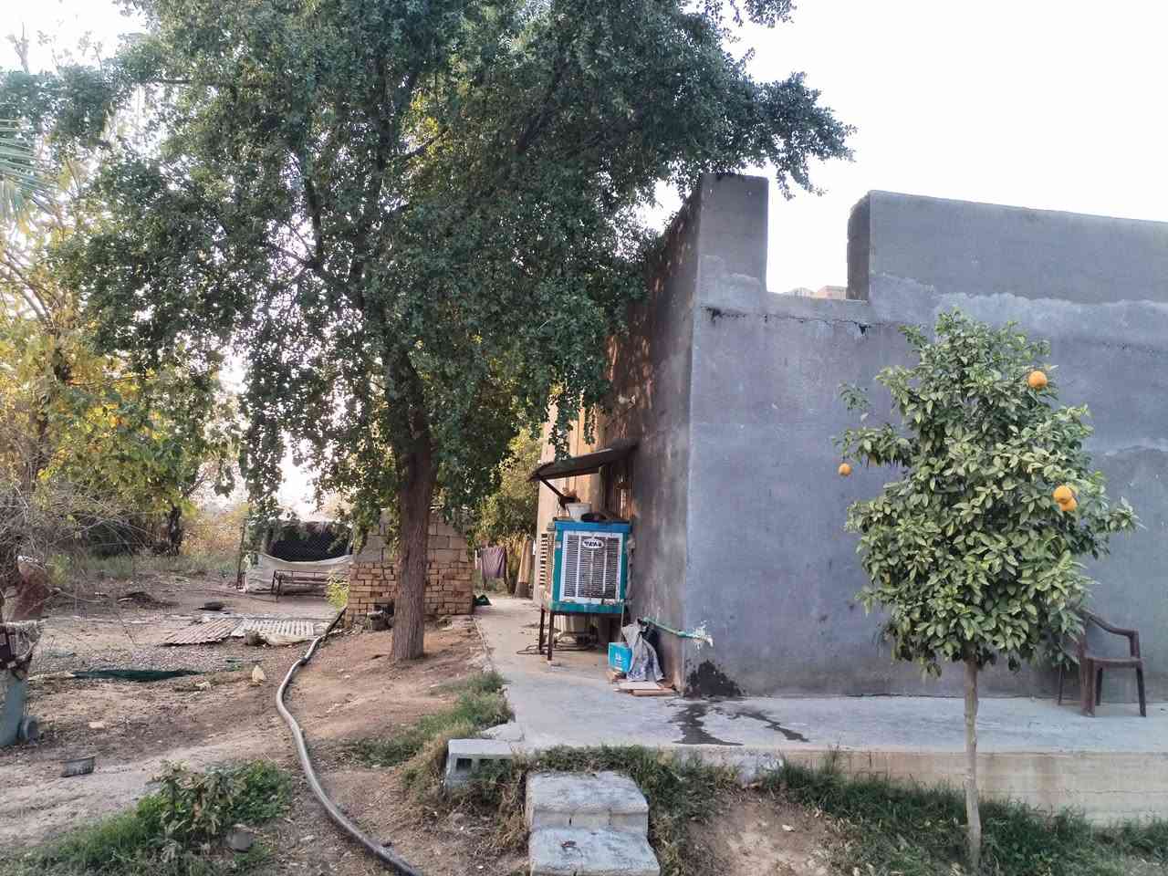 السلام عليكم للبيع ٣ دونم حي الزهراء يم معمل الحليب عل مشروع صادات كافة الخدمات موجوده ماي كهرابه زراعي سند ٣٥ السعر ٣٠٠ بيهن مجال اللاستفسار اتصال *********** مراجعه مكتب النوارس شارع مستشفى الامام علي ***********
