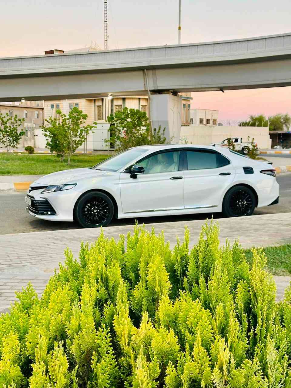 كامري 2024 مكفوله عام خليجي
بصمه تنته كشن كهرباىي  سياره ماشيه ٥٠ الف 

للبيع نقد فقط ***********
مكان السياره تكريت
