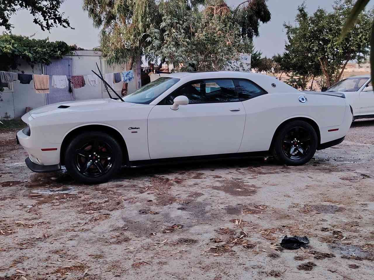 سلام عليكم جالنجر 15
السعر 135
فول فتحه شفتات ستيرن نضام سبورت جاهزه من كلشي ويل نجمه 18 وتخم تاير جديد والحادث جاملغ  وشخط بل صفحه وطعجاج بل صفحه الثانيه ونصبغت صفحتين هيج اشتريته عل وضعيته رقم بغداد انكليزي حته الهزه مساقطه
مكاني بغداد مدينه الصدر *********** وسونار موجود
