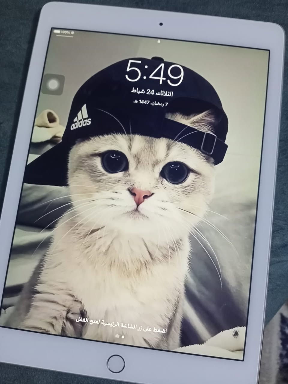 السلام علكم
ايباد ابل aire2
ذاكرة 16
بطاريته كلش زينه ماتصرف
سلس بالاستخدام وينزل جميع الالعاب.
مراوس ب دراجه حسب القناعه / مكاني فلوجه.


**إذا كنت صاحب هذا الإعلان وتريد حذفه لأي سبب، رجاءا أرسل رسالة إلى الدعم الفني**