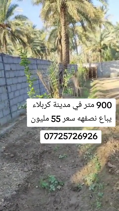 🔶 اعلان رقم 2510
موقع مثالي سكني او ترفيهي في مدينة كربلاء 📍 
المساحه 900متر مربعة الشكل #للبيع
مسيجه سياج بلوك من كل الجهات
تباع بالكامل او نصف الارض حسب رغبة المشتري! 
كل الخدمات ماء وكهرباء ومدارس واسواق 
نوع العقار طابو سند ٢٥ ( إقرار محكمة) 
- موقع المكتب 📍 
طريق السيده زينب ع قرب عمود 131
- او الاتصال على الرقم التالي 📞 
ابو علي ***********
           ***********
