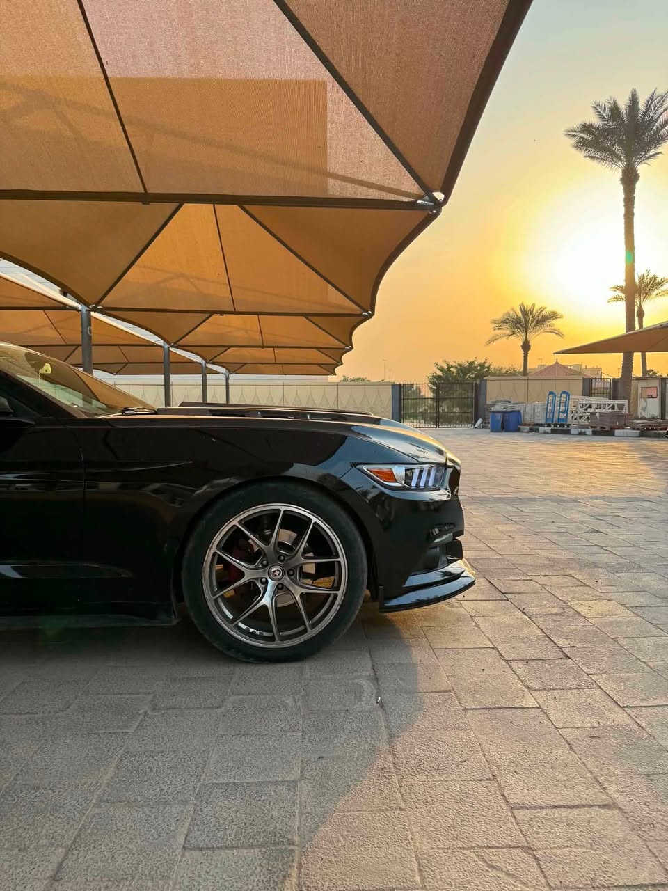 السلام عليكم
للبيع او مراوس 
موستنك v 6 2016 

لون اسود 

ويل 20 تو سايز  bbs

ماشيه 60.000 mi

مواصفات السته المعروفه 

عليها برمجة طلال 

وعليها داون بايب واكس بايب ودبات بلاديه 

البنيد كاربون فايبر اصل الياف حقيقي 

حادثها من امريكا رصعه بل جاملغ الخلفي ورصعه بل جاملخ الامامي وهنا بل عراق انظربت جاملغ الايمن الامامي السياره بيها 4 قطع وية البنيد  شواصي كير مكينه مكفوله عندي جسر الغد الايمن بي تصليح شوية يعني الغد مكفول الجهتين بس الجسر الفوك 

طاك بيها 3 ايرباكات 

صدرها 90‎%‎

السياره نظيفه وحلوه ومداخله استعراض ابد 
رقم بغداد تحويل ثاني يوم *

سعرها 135 وبيها مجال بسيط 

مكانها  شهداء السيديه 

رقم تلفون ☎️ ***********

