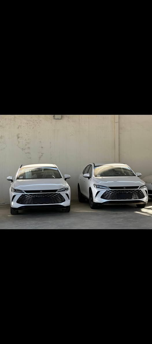 السلام عليكم بي واي دي كن بلاص 2025 زيرو بسمي عله كد الترقيم ماشيه رقم بغداد
داخل ابيض
غراضها كامله 
السعر 17800 عراقي مرقم بغداد كامل 
***********
