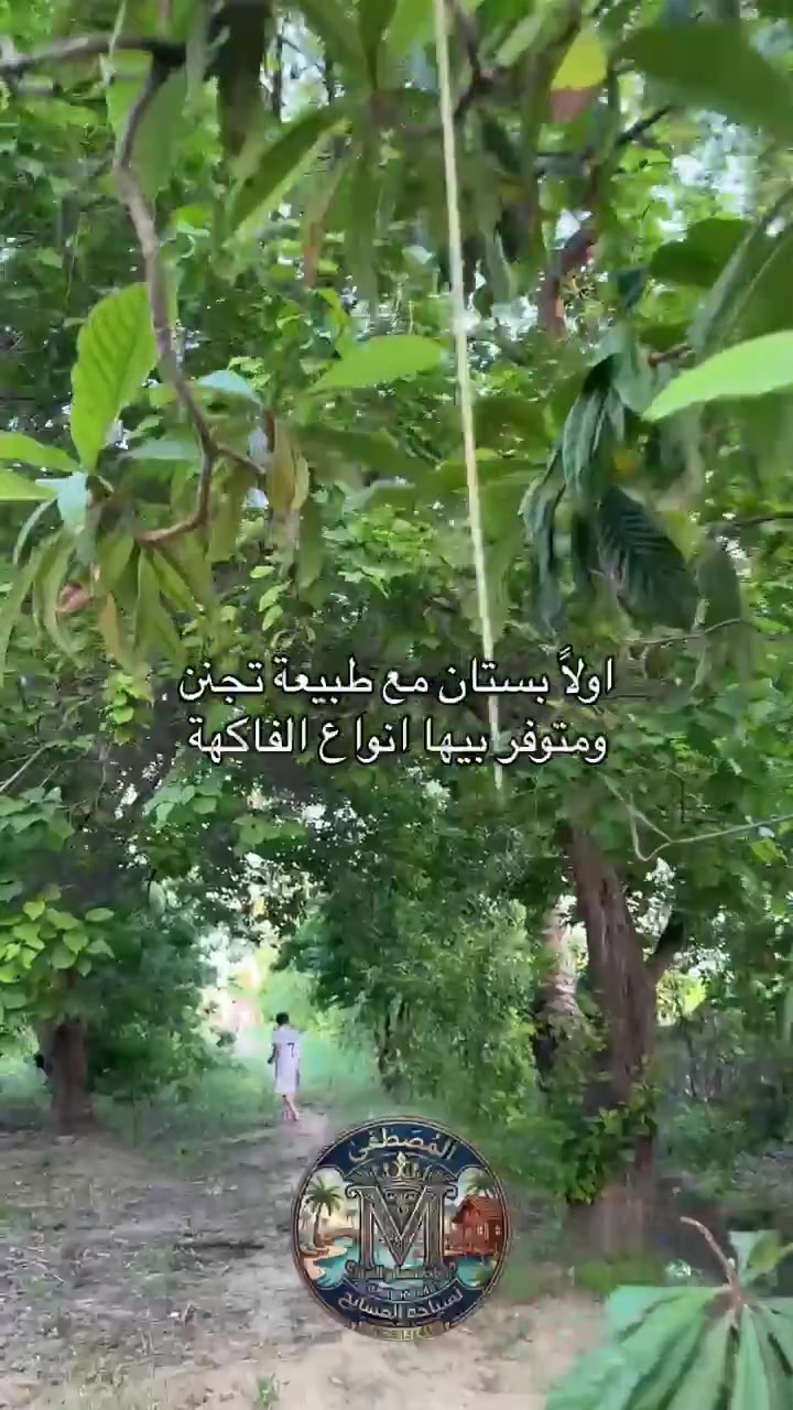 السلام عليكم..☆♤مزرعة vip رقم ☆♤231♤☆ بلد
■■■■■■عروض هذا شهر غير ■■■■■■
 
متوفر تاريخ  الاثنين  مسائي 
متوفر تاريخ  الثلاثاء صباحي مسائي 
متوفر تاريخ  الاربعاء صباحي مسائي 
متوفر تاريخ الخميس صباحي 
متوفر تاريخ الجمعه صباحي مسائي
العاب جميلة ومتنوعه
زحليكه مراجيح جلسات 
منضدة فيشه 
مسبحين للكبار والصغار حجم كبير 
غرف نوم وصاله مطبخ مؤثث بالكامل
حدائق باربيكيو جاهز مع نت سبالت 
كراج وجلسات متعددة داخل المزرعة والحدائق 
للحجز واتساب ***********
كل المزارع موثقة شركة المصطفى لسياحة المسابح 
ننصح بهذه المزرعة جدا
موثقة بتطبيق اجرلي
