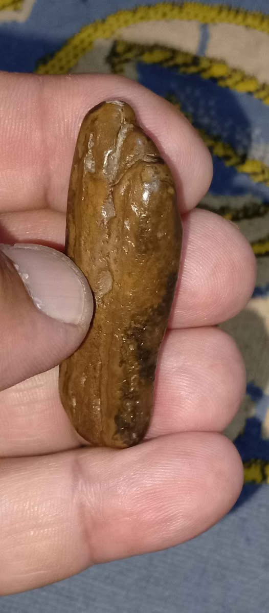 ‎حجر سلطاني‎ البصرة, العراق


**إذا كنت صاحب هذا الإعلان وتريد حذفه لأي سبب، رجاءا أرسل رسالة إلى الدعم الفني**